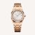 Audemars Piguet Men Royal Oak Selfwinding 34 mm in Pink Gold-White