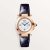 Cartier Women Pasha De Cartier Watch 30 mm Quartz Movement in 18K Rose Gold