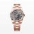 Rolex Men More Sky-Dweller Technical Details Oyster 42 mm in Everose Gold-Black