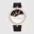 Van Cleef & Arpels Lady Arpels A Day in Paris Watch in 18K Rose Gold